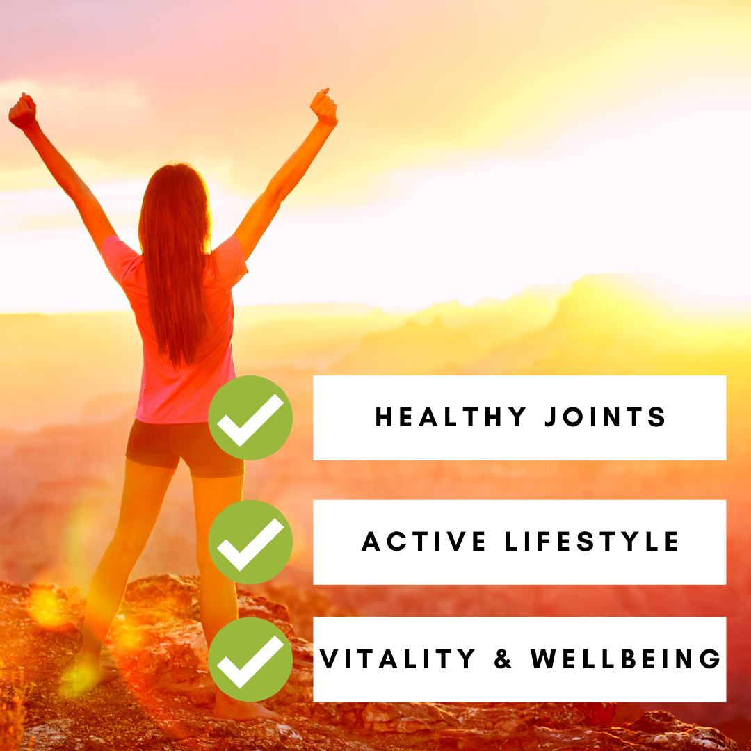 Turmeric 95% Curcumin Capsules | Refill Bag (270 Vegan Capsules)