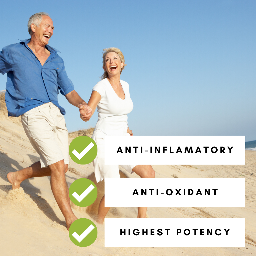 Turmeric 95% Curcumin Capsules | Refill Bag (270 Vegan Capsules)