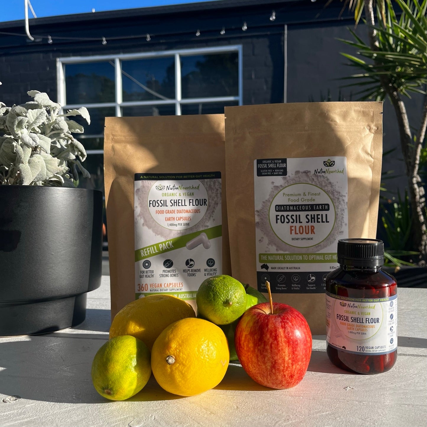 Fossil Shell Flour Capsules 120 | Food-Grade Diatomaceous Earth (Vegan)