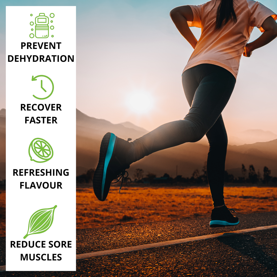 Gut Health & Recovery Bundle | Fossil Shell Flour, Curcumin & Electrolytes