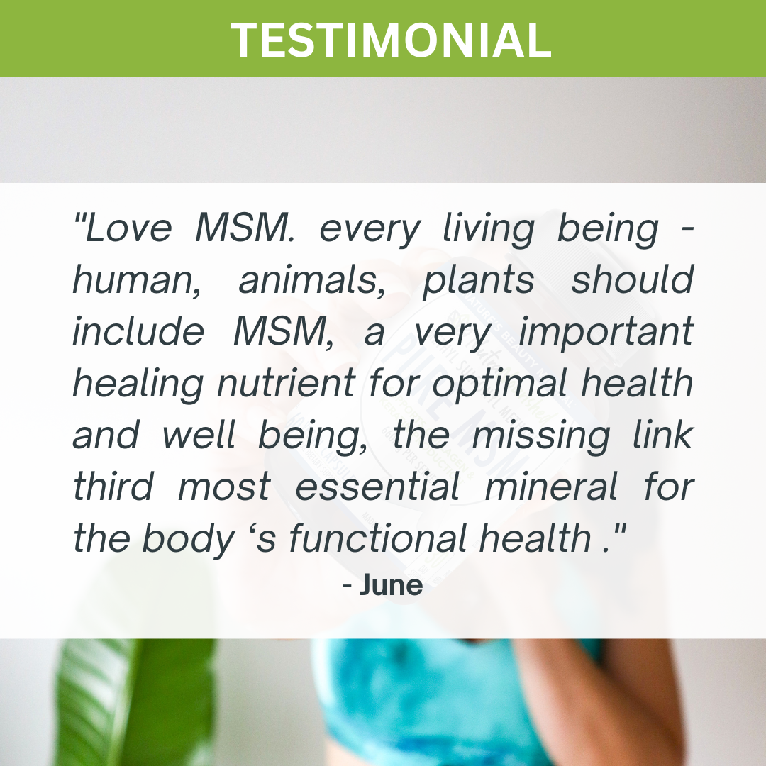 Pure MSM Capsules | Methyl Sulfonyl Methane (660mg) – 60 Vegan Capsules