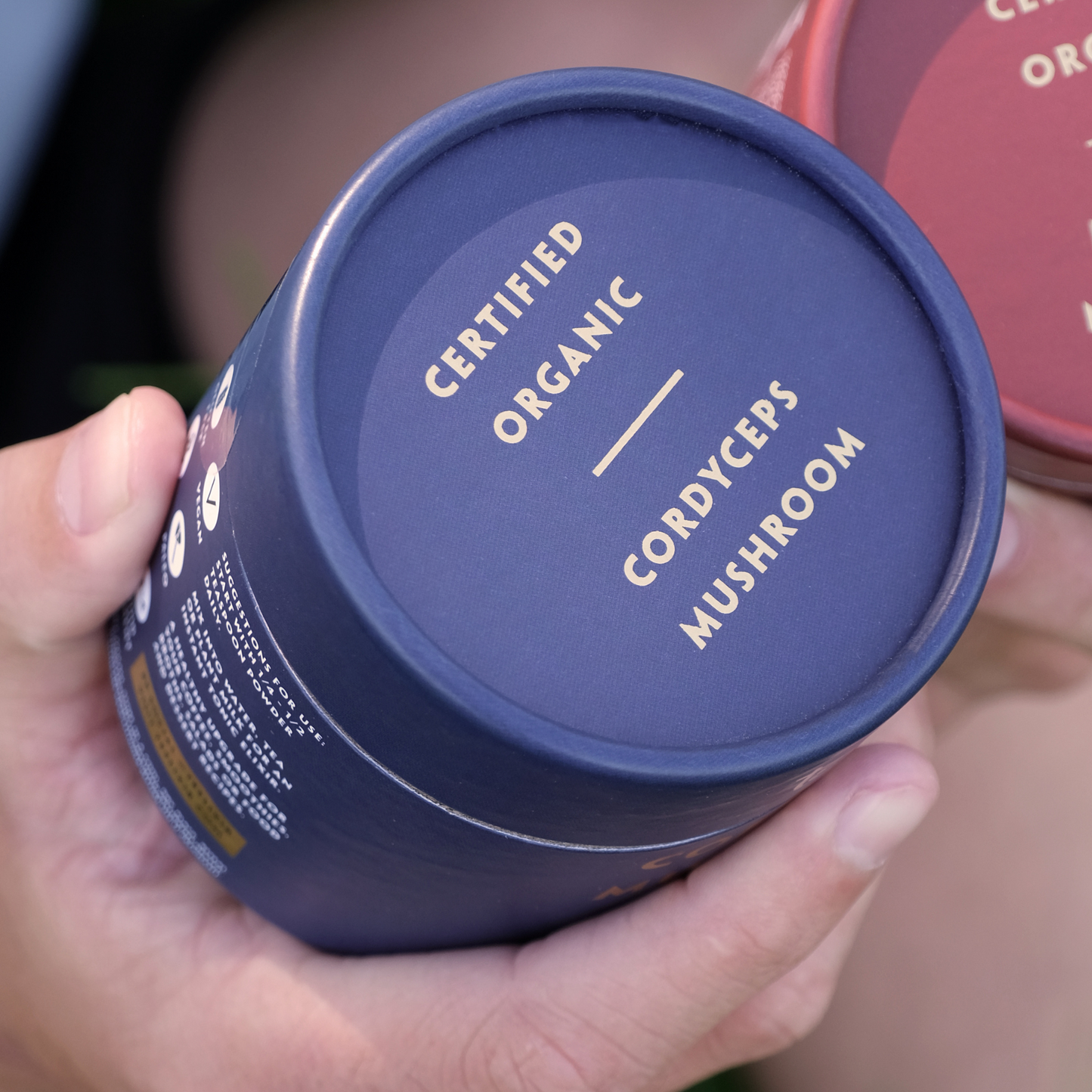 Organic Cordyceps Mushroom Extract Powder 500g | Teelixir